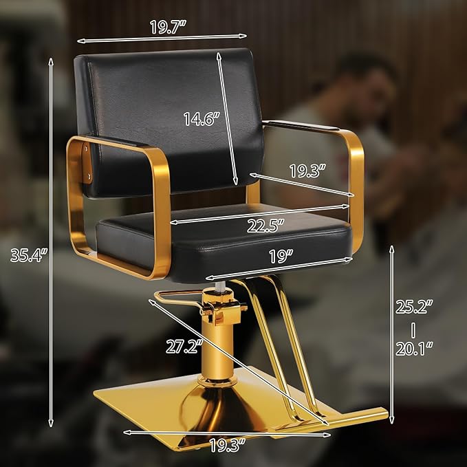 Salon Chairs for Hair Stylist Chair Hydraulic Pump Hair Salon Chair 360 Degree Rotating Barber Chair, Spa Beauty Equipment for Hair Stylists, Tattoo Artists, Cosmetologists (Not Tilting)