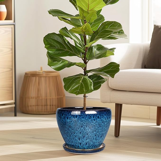 Ceramicfor 8 Inch Ceramic Plant Pot, Ceramic Planter Pot for Indoor Outdoor Plants, Round Flower Pot with Drainage Hole and Saucer, Blue