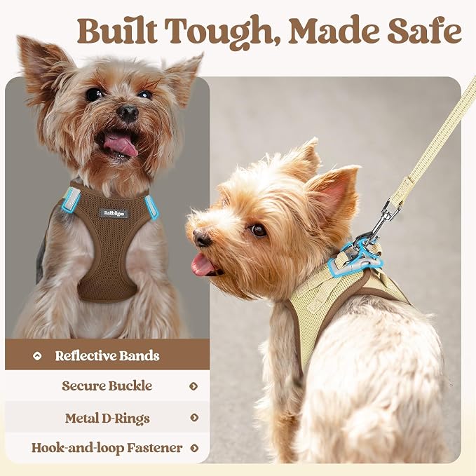 rabbitgoo Dog Harness Small Sized and Leash Set, Step-in Puppy Pet Vest | Light, Soft, Breathable Air Mesh, Easy on and Remove with Hook & Loop, Secure Reflective for Walking, Brown & Beige M