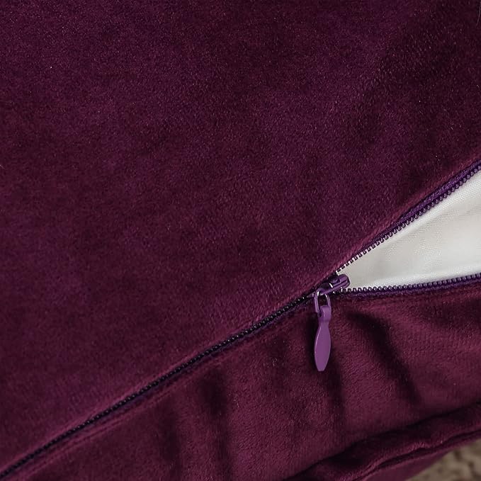 Velvet Purple Throw Pillow Covers 12”x20”Pack of 2 Soft Decorative | Square Cushion Covers for Couch Sofa Bed Livingroom Car Home Decor,30x50Cm