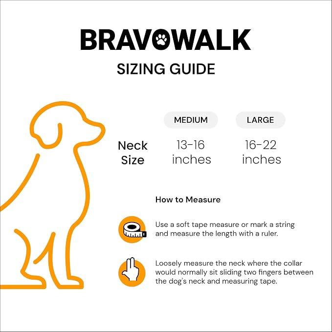 Dog Training Collar to Stop Dog from Pulling on Walks, Remote-Free (LG)