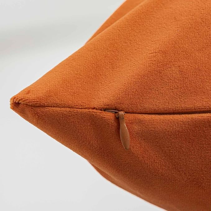 JUSPURBET 28x28 Decorative Velvet Throw Pillow Covers Set of 2,Burnt Orange | Cozy Soft Euro Cushion Covers Cases with Hidden Zipper for Couch Sofa Bed Living Room Bedroom Home Decor