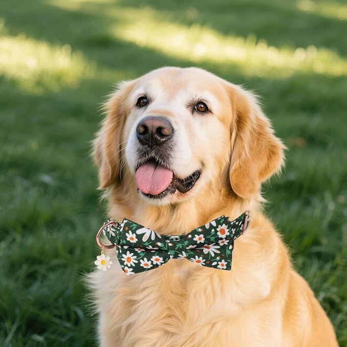 ADOGGYGO Floral Girl Dog Collar with Bow Tie, Cute Daisy Bowtie, Large