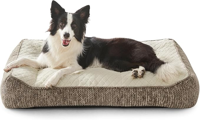 JOEJOY XL Orthopedic Dog Beds Large Sized Dog, Extra Thick Supportive Big Dogs Couch Bed with Sides, Ultra Soft Pet Bed Sofa for Large Dogs, Beige, 38''x28''