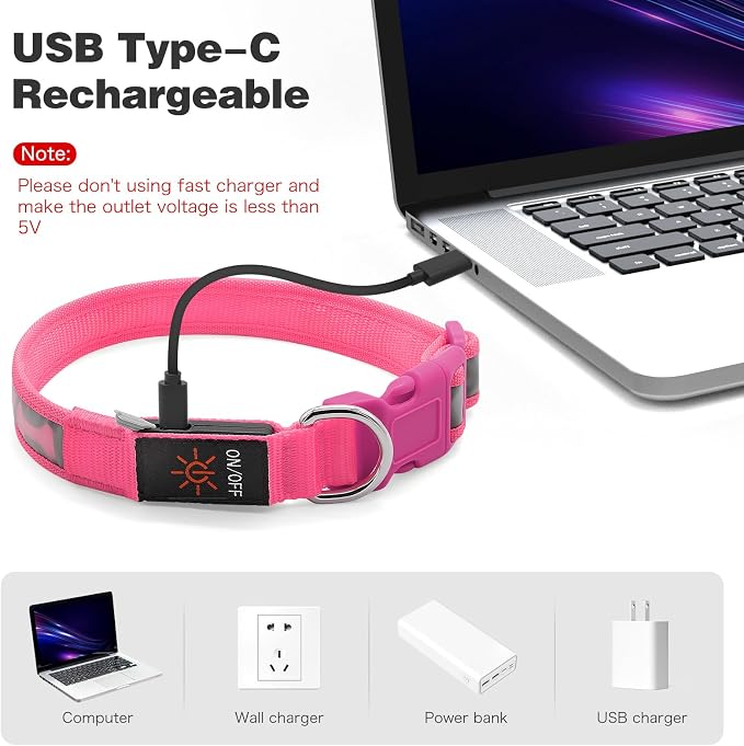 Flashseen LED Dog Collar Light Up USB-C Rechargeable, Pink, Small