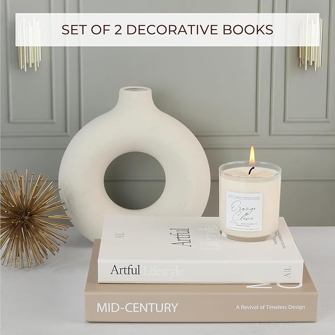 Aesthetic Decorative Books Set of 2 - Stylish Boxes for Coffee Table Decor | Stylish Modern Home Decoration for Your Bookshelf or Mantel, Faux/fake Books Doubles as Photo Storage or Keepsake Box