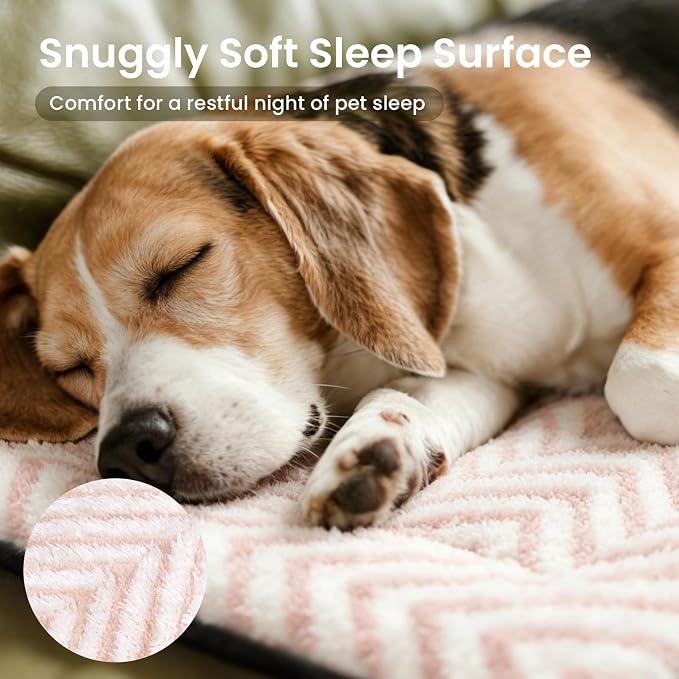 Mora Pets Cat Beds for Indoor Cats Washable Cat Mat Bed Flat Dog Crate Pad | Ultra Soft Cat Bed for Carrier, Puppy Crate Pad for Dog Cages Cozy Sleeping Liner, Small Cat Pillow Cushion Anti Slip 22 x 13