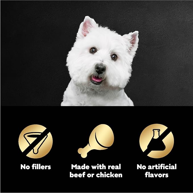 Cesar Filets in Gravy Wet Dog Food Filet Mignon Flavor and Rotisserie Chicken Flavor Variety Pack,Wet Food for Dogs,1.76 oz. Mini-Pouches,20 Count (Pack of 4)