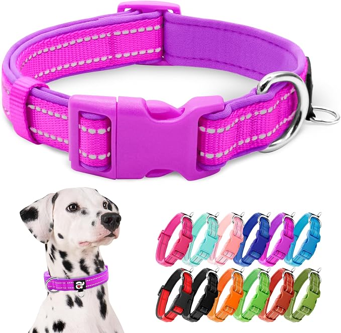 azuza Reflective Dog Collar, Neoprene Padded Large Dog Collar, Purple, L