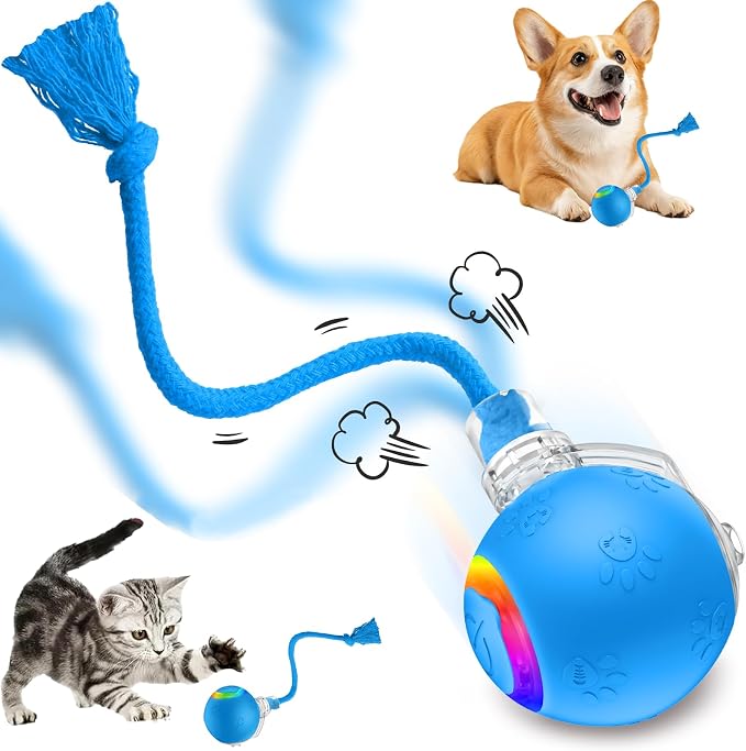 Speed 2.0 Tail Interactive Cat Toys, Rechargeable Ball for Indoor Cats