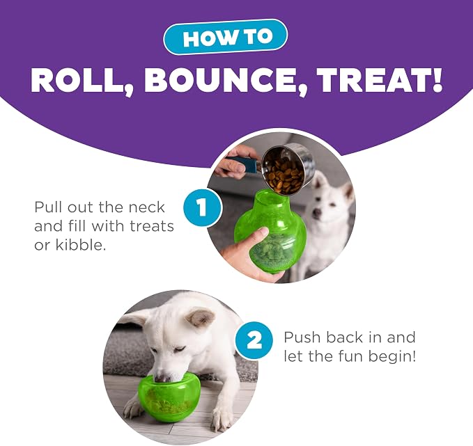 Outward Hound Snoop Interactive Treat Dispensing Dog Toy, Green, 5" | Rolls & Bounces, Treat Stuffer, Puzzle Ball & Slow Feeder, Enrichment, Mint Scented, Easy Clean, No BPA, Medium to Large Dogs