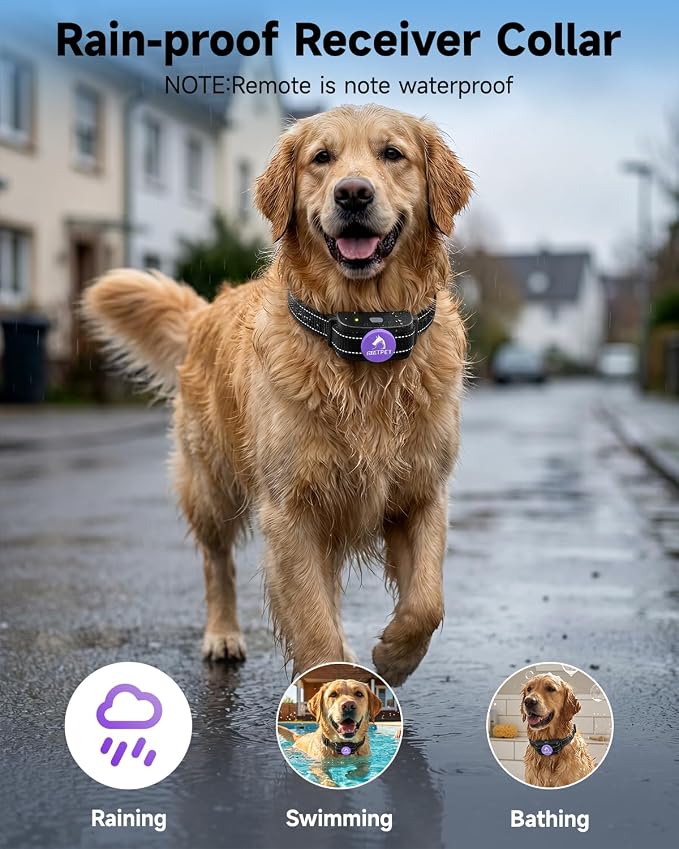 PATPET Dog Training Collar Dog Shock Collar with Remote - 3 Training Modes, Beep, Vibration and Shock, Up to 1000 ft Remote Range, Rainproof for Small Medium Large Dogs | 1000Ft Waterproof Shock Collar for Dogs, 3 Training Modes(Beep,Vibration,Shock) f...