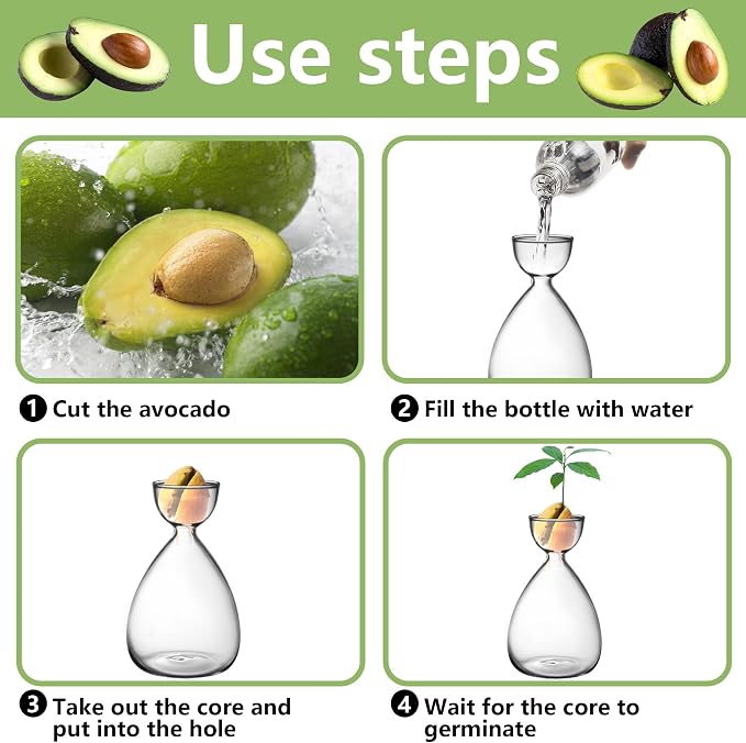 2pcs Small Avocado Seed Starter Vase, Avocado Tree Growing Kit, Avocados Glass Plant Pot Vase Gifts for Gardening Lovers (2pc Avocados vases)