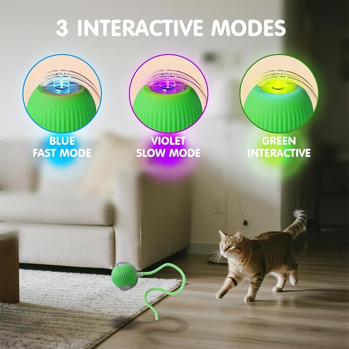 Rocfish Durable Interactive Cat Toys for Indoor Cats (Green, 01)