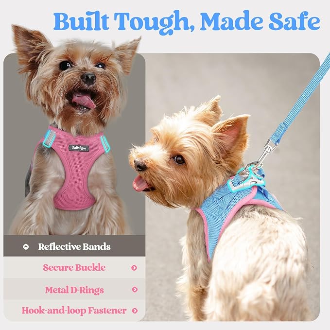 rabbitgoo Dog Harness Small Sized and Leash Set, Step-in Puppy Pet Vest | Light, Soft, Breathable Air Mesh, Easy on and Remove with Hook & Loop, Secure Reflective for Walking, Blue & Light Pink S
