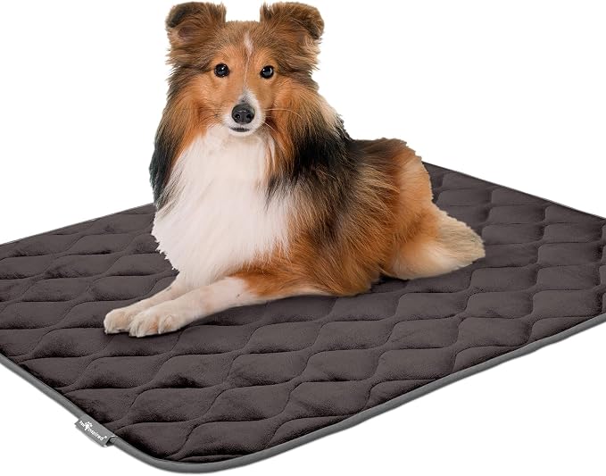 Paw Inspired Washable Padded Crate Mats for Dogs, Gray, 41x28 Inch | Fits 42-inch Kennels, Leakproof, Waterproof Bottom, Plush Dog Pad, Pet Bed