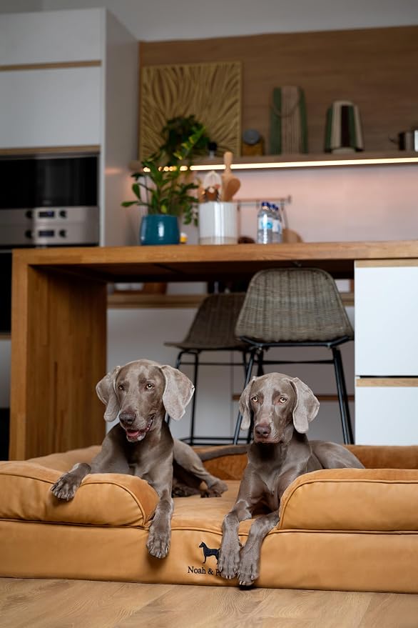 NOAH & PAW Giant Dog Bed XXL, 55x45x11 Inch, Orthopedic Dog Beds, Eggshell Memory Foam Infused with Cooling Gel, Inner Cover, Water Resistant, Machine Washable (Faux Leather)