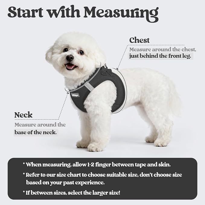 rabbitgoo Dog Harness Small Sized and Leash Set, Step-in Puppy Pet Vest | Light, Soft, Breathable Air Mesh, Easy on and Remove with Hook & Loop, Secure Reflective for Walking, Black XXXS