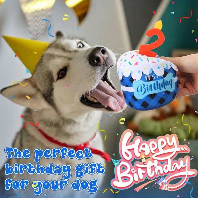 Dansydaisy Dog Birthday Cake Toy Squeaky Plush Gift,2nd,Blue Grid