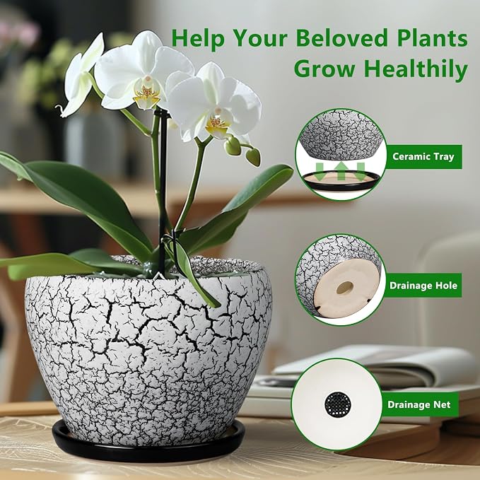 Ceramicfor Ceramic Planters for Indoor Plants - 10 Inch Plant Pot with Drainage Hole and Saucer, Large Flower Pot for Home Decor, White/Black