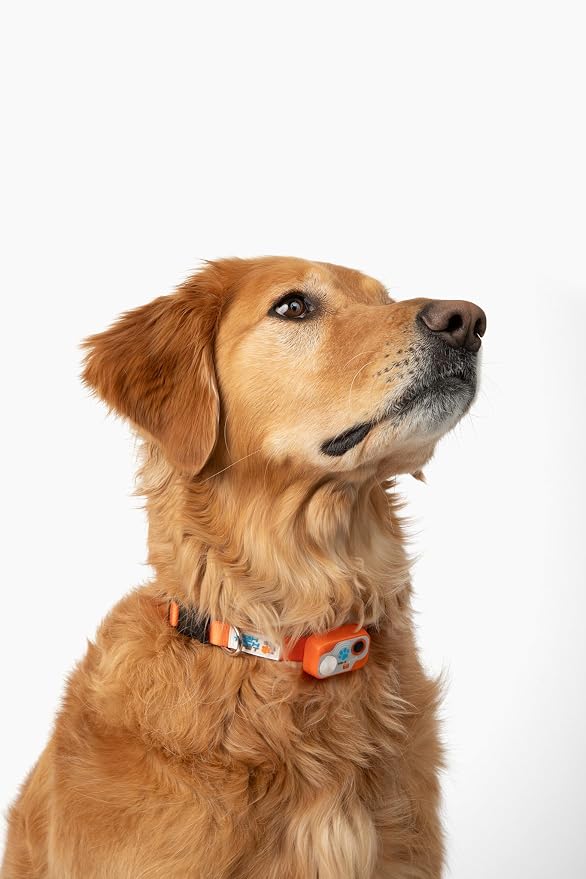 Genuine MS-5® Designer Series Automatic Pet Door Collar Tested & Certified by High Tech Pet for Dogs and Cats - Complies with Power Pet Door Performance Warranty, Waterproof (Orange, Dog)