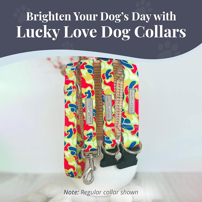 Lucky Love Dog Martingale Collar for Medium Dogs No Slip – Oscar, Medium