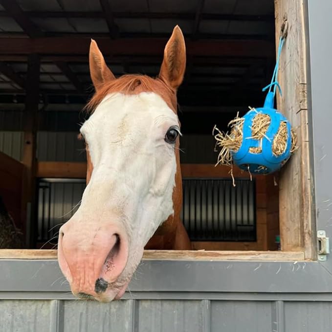 Horsemen's Pride Jolly Hay Ball Stall Toy for Horses, Blue, 8"