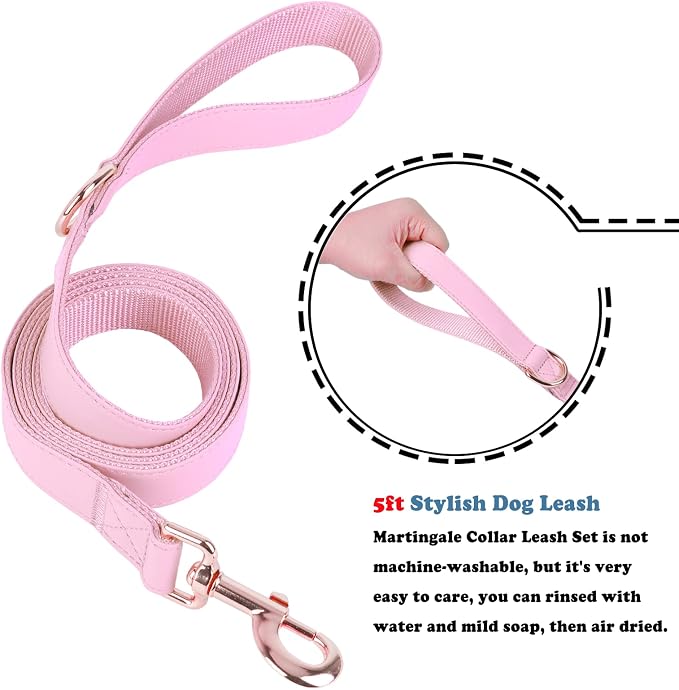 Soft Leather Martingale Dog Collar - Adjustable Rose Gold Limited Slip Collars [Easy to Clean], Stylish Durable Heavy Duty Nylon No Pull Training Collar for Small Medium Large Dogs (XS, Set Pink)
