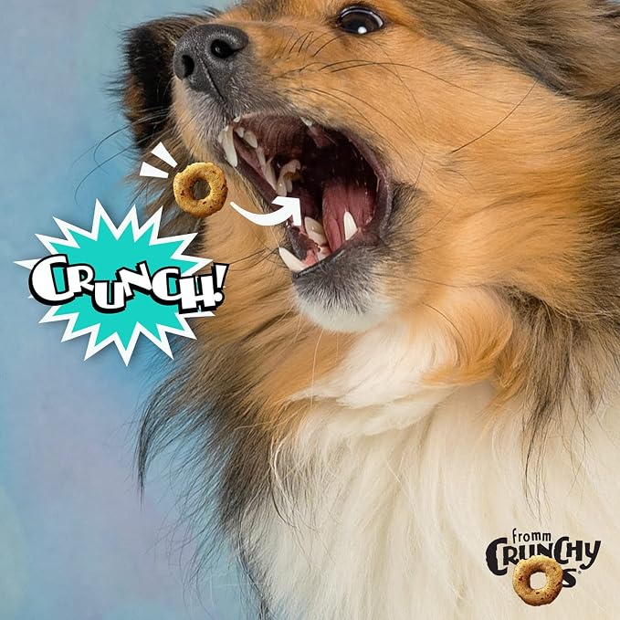 Fromm Crunchy Os Banana Kablammas Dog Treats - Banana Recipe - 26 oz