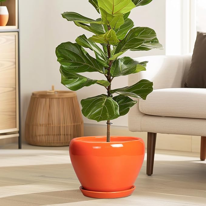 Ceramicfor Indoor Plant Pot 8 Inch - Ceramic Plant Pot with Drainage Hole and Saucer, Glaze Decorative Modern Round Planter for Outdoor Plants, Housewarming Gifts, Office Home Garden Decor, Orange