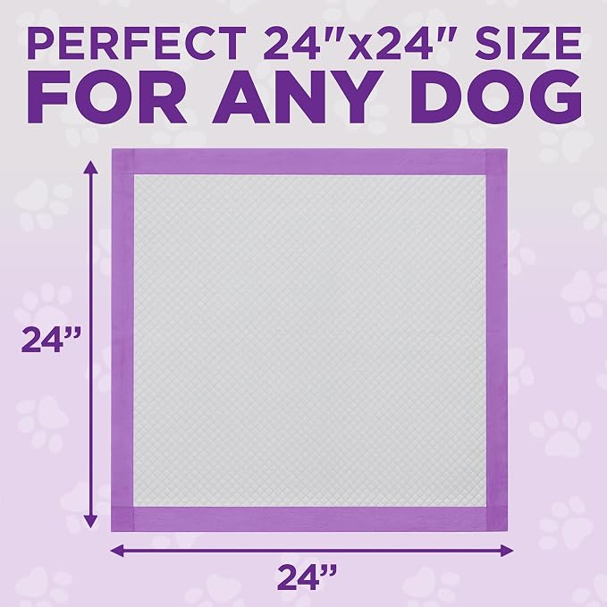 POOPH® Potty Pads™ 24 x 24 in, 25 Count | Disposable 24 x 24 in potty pads with absorbent core and odor control. Includes 25 pads
