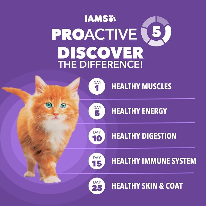 IAMS Proactive Health Healthy Kitten Dry Cat Food, Chicken, 16 lb | Veterinarian-recommended, real chicken #1 ingredient, Omega-3 DHA & taurine, supports digestion, skin health, immune system
