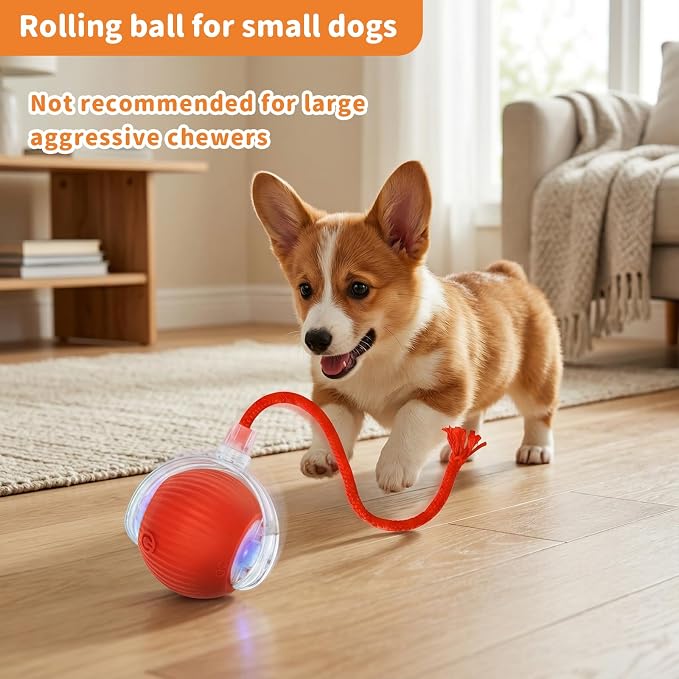 Cat Toys for Indoor Cats Smart Automatic Bal Moving Chase Dogs Toy, Red | Ball Rolling for Bored Kitten Pet, Upgraded Speedy Moving Chase Dogs Toy