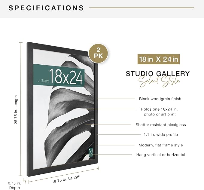 MCS Studio Gallery 18x24 Poster Frame Black Woodgrain Engineered Wood, Vertical & Horizontal Wall Hanging Large Picture Frame for Photos, Posters & Art Prints (2-Pack)