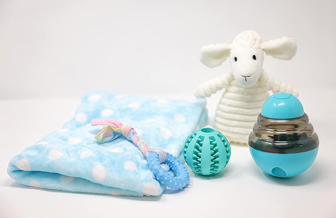 Puppy Starter Kit – 5pc Dog Toy Gift Set for Small Dogs – New Puppy Essentials Gift Box with Blanket, Squeaky Plush, Teething Ring, Treat Ball & Chew Ball (Blue)