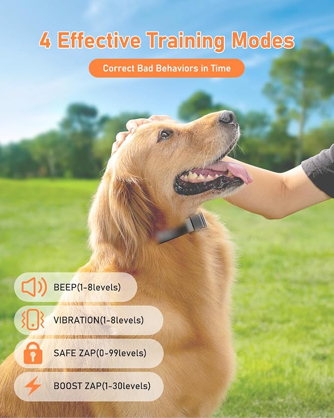 Petory Dog Training Collar - 4000FT Dog Training Collar with Remote, IPX7 Waterproof Electric Dog Collar with 4 Training Modes, Security Lock, Rechargeable e Collar for 15-120lbs Medium Large Dogs