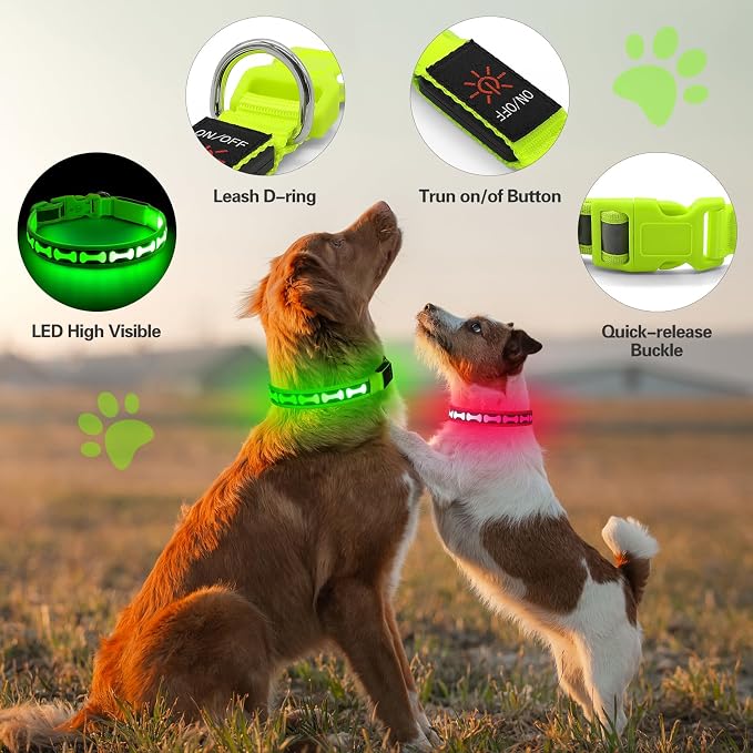 Flashseen LED Dog Collar Light Up USB-C Rechargeable (Green, Large)