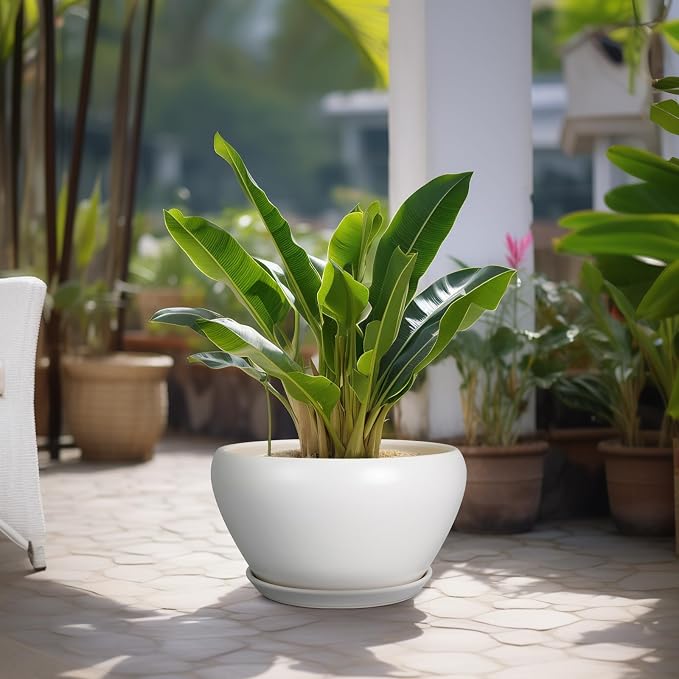Ceramicfor Planter for Indoor Plants 13 Inch - Ceramic Plant Pot with Drainage Hole and Saucer Decorative Round Large Planter Pot for Plants Outdoor Flower Pot for Room Decor White