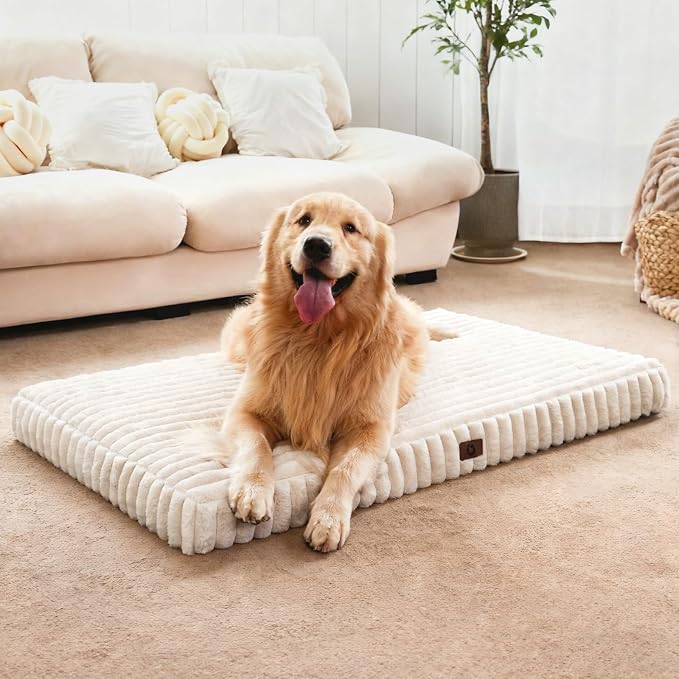 Dog Beds for Large Sized Dog, Orthopedic Foam with Waterproof Lining | Egg crate foam for joint support. Soft plush surface. Non-slip bottom. Removable & machine washable cover. OEKO-TEX certified