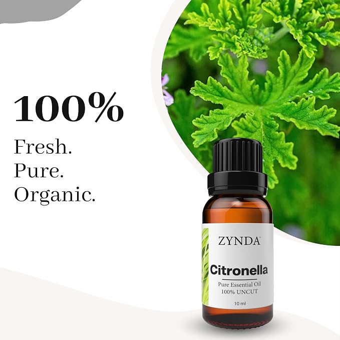 Citronella Oil 100% Pure Essential Oil – Premium Aromatherapy Citronella Essential Oil for Diffuser, Skin, Hair, and Scalp Care – Steam Distilled, Therapeutic Grade Natural Extract – 10ml Bottle