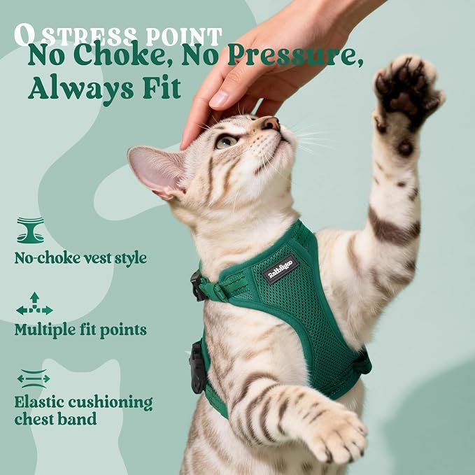 rabbitgoo Cat Harness and Leash, Easy-on with Neck Buckle, Dark Green