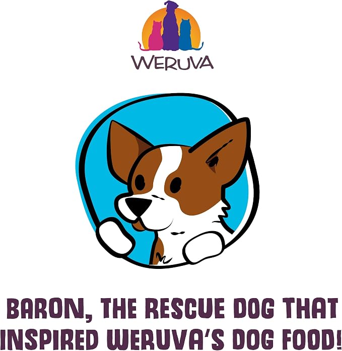 Weruva Classic Dog Food, Wok The Dog with Chicken, Beef & Pumpkin in Gravy, 5.5oz Can (Pack of 24)