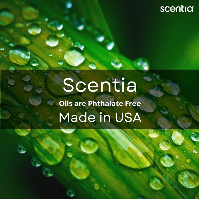 Scentia Pine Frost Essential Oil – 500 ml Professional Holiday Diffuser Oil | Crisp Winter Blend with Fir, Pine, Citrus & Vanilla | Bulk Aromatherapy for Homes, Spas, Hotels & DIY Candle Supplies
