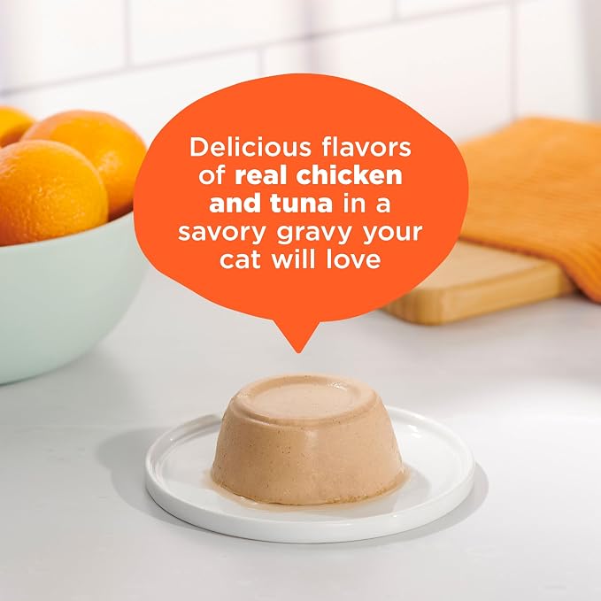 Meow Mix Paté in Gravy, Wet Cat Food with Real Chicken & Tuna, 12 Cups