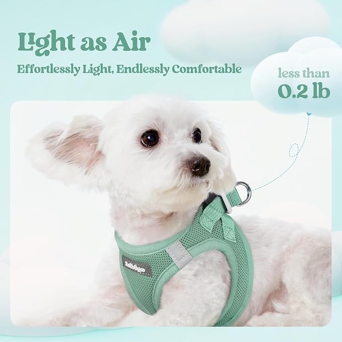 rabbitgoo Dog Harness Small Sized and Leash Set, Step-in Puppy Pet Vest | Light, Soft, Breathable Air Mesh, Easy on and Remove with Hook & Loop, Secure Reflective for Walking, Moss Green S