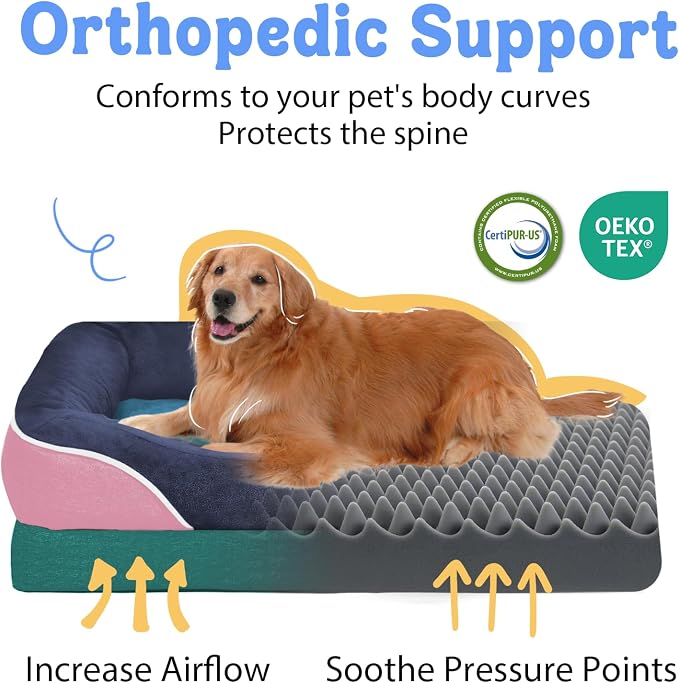 Orthopedic Washable XXL Dog Bed for Extra Large Dogs | Egg Crate Foam, 4-Sided Bolster Support, Waterproof Liner, Non-Slip Bottom, Removable Bolster Cover, 45 x 35 Inch