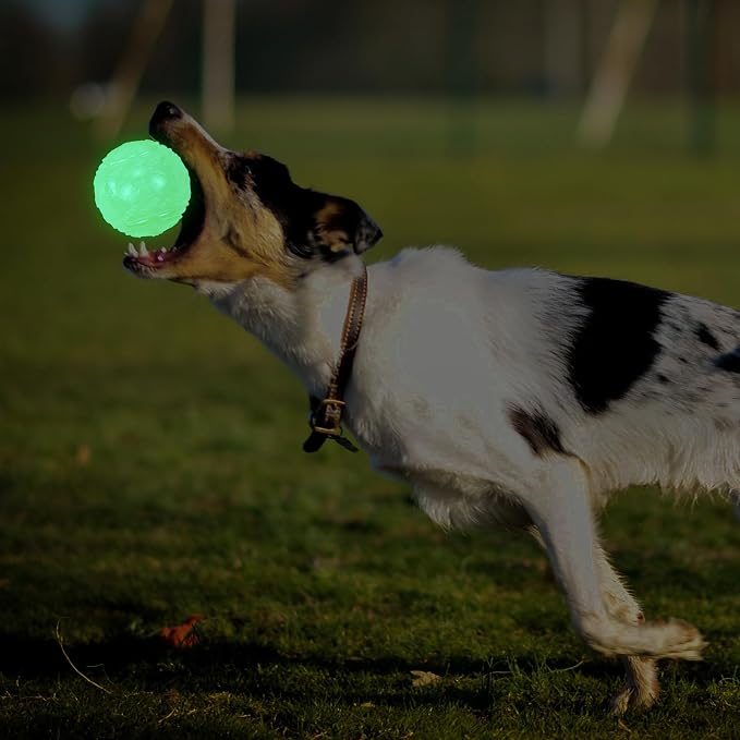 LECHONG 4-Pack 2.5” Glow in The Dark Squeaky Dog Balls, Durable Glowing Bouncy Rubber Fetch Toy Balls for Small Medium Puppy Dogs Nighttime Playing Indoors and Outdoors