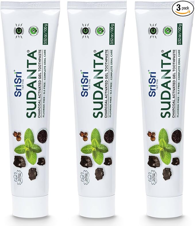 Sri Sri Tattva Sudanta Charcoal Toothpaste Gel – SLS, Fluoride Free Herbal Toothpaste with Neem & Ayurvedic Herbs – Natural Teeth Whitening, Fresh Breath, Oral & Gum Health – 100g Tube (Pack of 3)