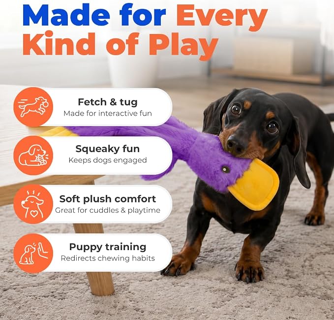 Best Pet Supplies Interactive Squeaky Dog Toy - Crinkle Duck, Purple | Stuffing Free Body, Soft, Squeaks & Crinkles, No Mess, Perfect for Moderate Chewers, Toss and Fetch Play