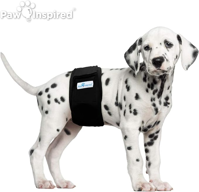 Paw Inspired Belly Band Male Dog WRAP Washable, Black, Black Lining, Small, 3 Count